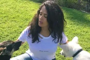 Conoce a la mascota más inusual en la colección de Salma Hayek 