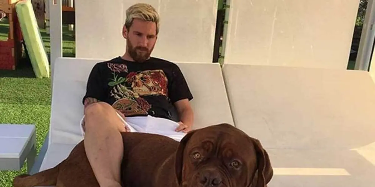 Conoce lo que Lionel Messi le ofrece a su perro para llevar una cómoda y sana vida