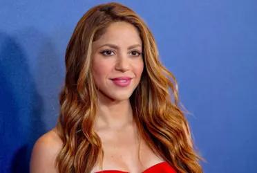 Descubre cuales son las sorprendentes condiciones que impone Shakira al trabajar 