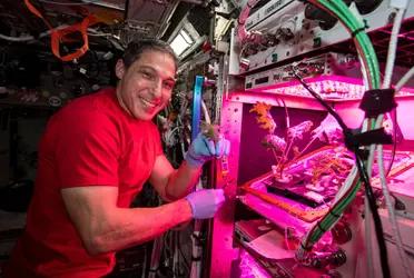 Fue el astronauta Kjell Lindgren quien por primera vez en la historia aplicó el sistema de crecimiento de plantas Veggie.