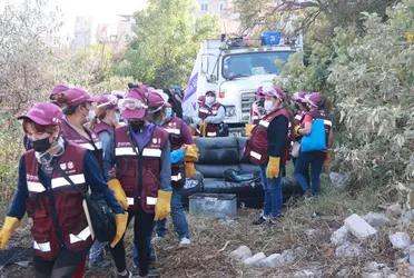 Para generar puestos laborales y evitar afectaciones al medio ambiente, esta semana concluyó la primera etapa del programa Empleo Verde.