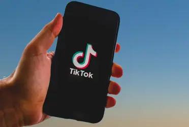 Tik Tok logro posicionarse como una de las redes sociales más improtantes junto a Facebook y a Twitter. 