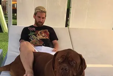 Conoce lo que Lionel Messi le ofrece a su perro para llevar una cómoda y sana vida