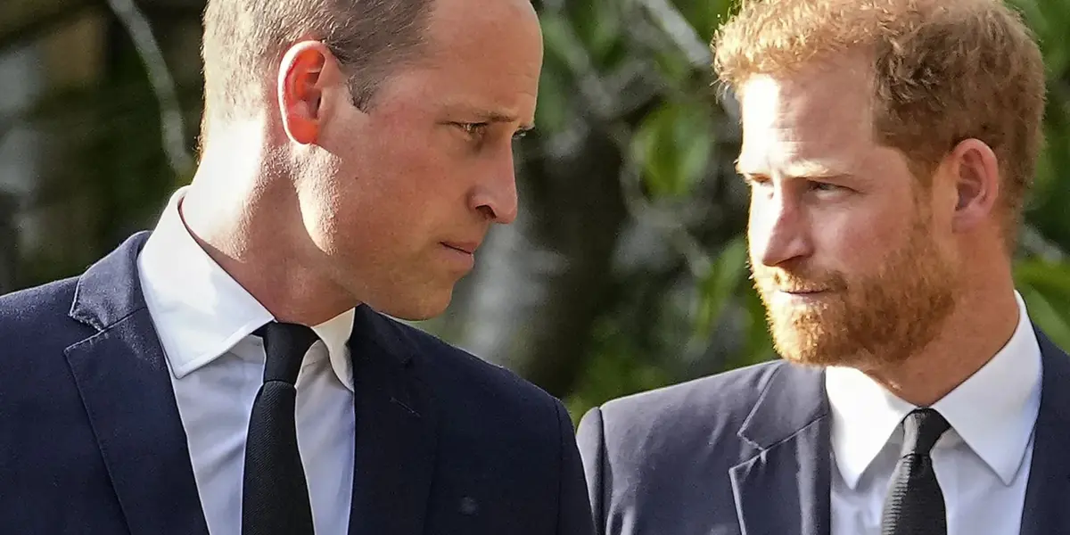 Descubre la persona que podría unir nuevamente al Príncipe William y Harry 