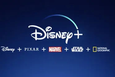 El servicio de streaming Disney+ resistió los efectos del conocido como “efecto Netflix” y consiguió 11.8 millones de nuevos suscriptores