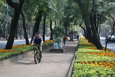 Esta gran historia de la Ciudad de México ha dejado el patrimonio de numerosas calles con edificaciones impresionantes. 