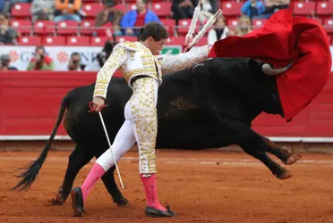 La medida regirá en principio hasta el próximo jueves, cuando el juez escuchará los argumentos y analizará las pruebas.