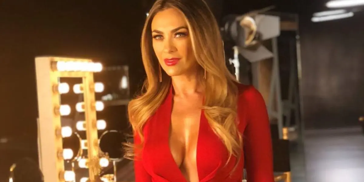 Sin embargo, los fans de esta producción se cuestionaron el motivo por el cual no apareció Aracely Arámbula, su pareja de 2005 al 2009 con quien procreó a dos hijos.